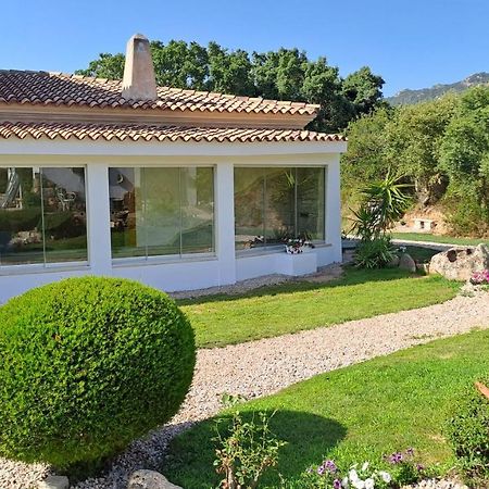 B&B La Chintina Sant'Antonio di Gallura Ngoại thất bức ảnh
