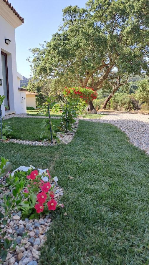 B&B La Chintina Sant'Antonio di Gallura Ngoại thất bức ảnh