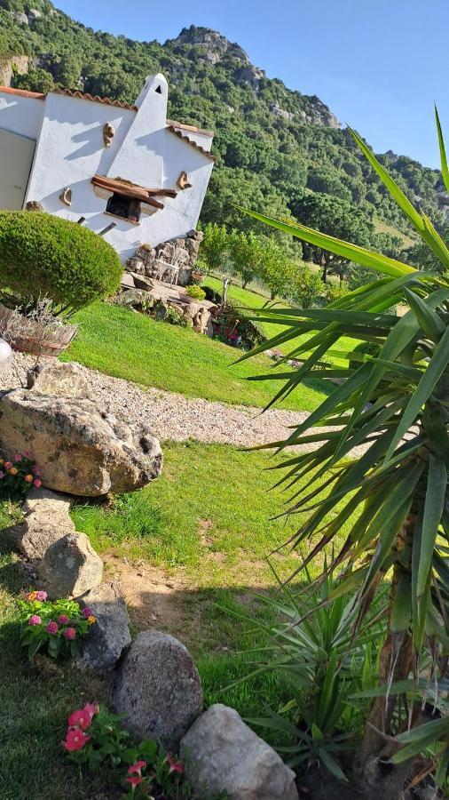B&B La Chintina Sant'Antonio di Gallura Ngoại thất bức ảnh