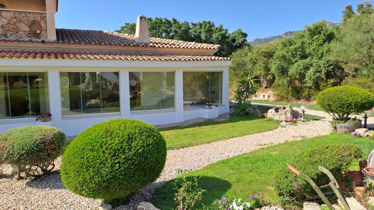 B&B La Chintina Sant'Antonio di Gallura Ngoại thất bức ảnh